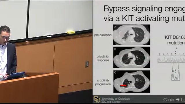 Resistance to oncogene-targeted therapies смотреть онлайн