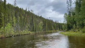 Выдра 430 Аян Suzuki DF 30 4т Водометная Насадка outboard jets