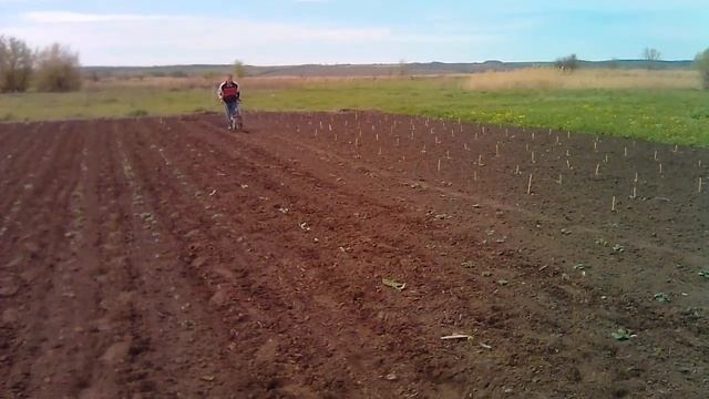 Мотоокучник из бензопилы , первая его работа . смотреть онлайн