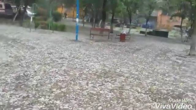 Град в Калининграде летом ( 16.06.2016 ) смотреть онлайн