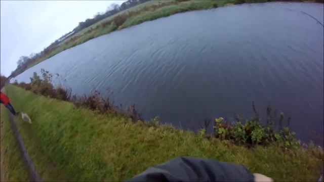 Planer Board + Sardine = Pike смотреть онлайн