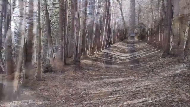 Национальный парк "Кисловодский", 5 февраля 2019 г. смотреть онлайн