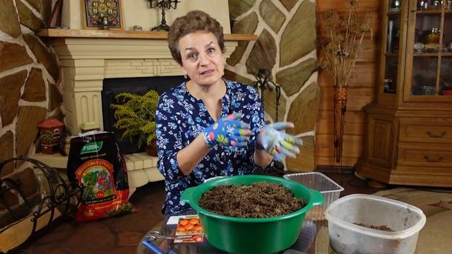 Правильные питательные добавки в грунт. Крепкая рассада гарантирована! смотреть онлайн