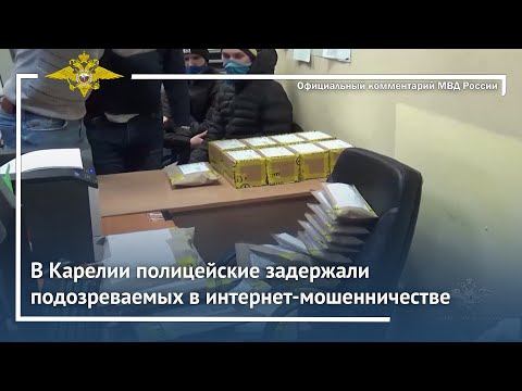 Ирина Волк: В Карелии полицейские задержали подозреваемых в интернет-мошенничестве смотреть онлайн