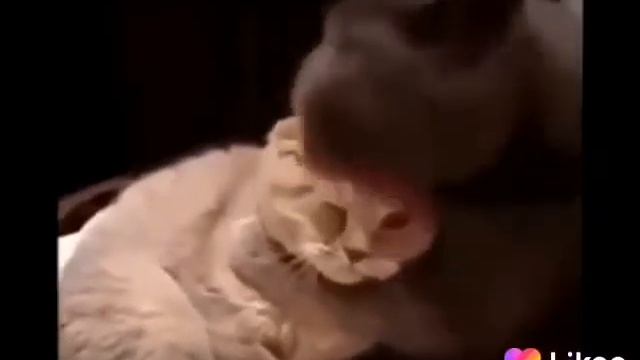 Включи другу если он грустит смотреть онлайн
