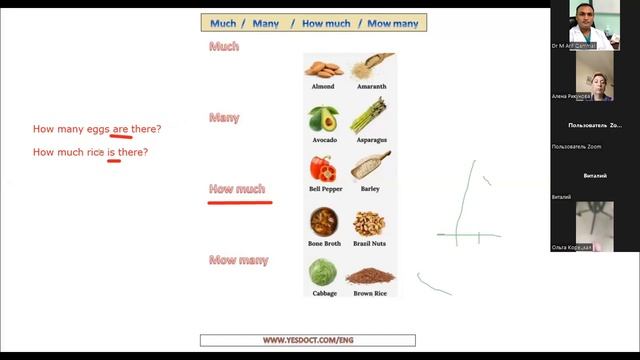 Class 4 English For Beginners   (no Article, Countable / Uncountable Noun, How Much/how Many)