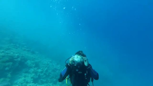 Sunny Days El Palacio. Hurghada. Egypt. Diving On The Reef.