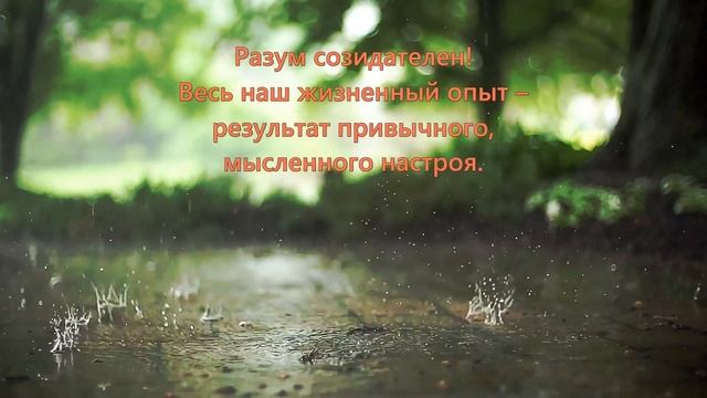 Мудрые мысли смотреть онлайн