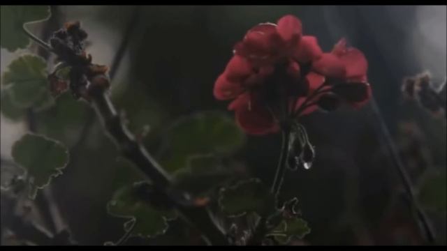 XXXTENTACION - In The End (Lyrics) смотреть онлайн