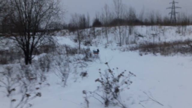 Новогодние Каникулы в городе Псков смотреть онлайн