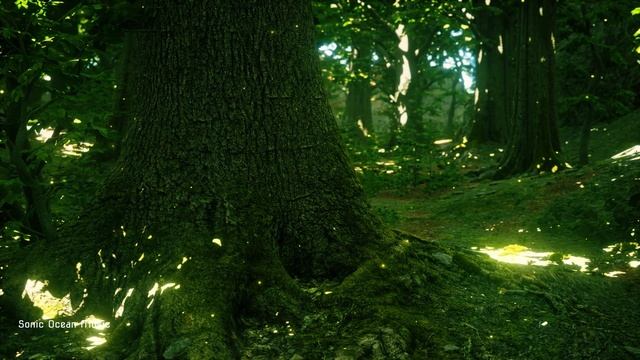 Relaxing Piano Music, Piano Music, Deep Sleep Music, Meditation Music Stress Relief Study Music Yog