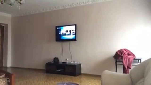 Мобильные технологии: что нового?