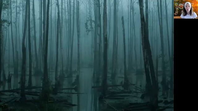 Saruna ar Joy - ēterisko eļļu kompozīciju prieks смотреть онлайн