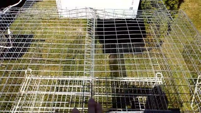 КЛЕТКИ ДЛЯ КРОЛИКОВ РАЗВЕДЕНИЕ КРОЛИКОВ Кролики содержание и разведение смотреть онлайн