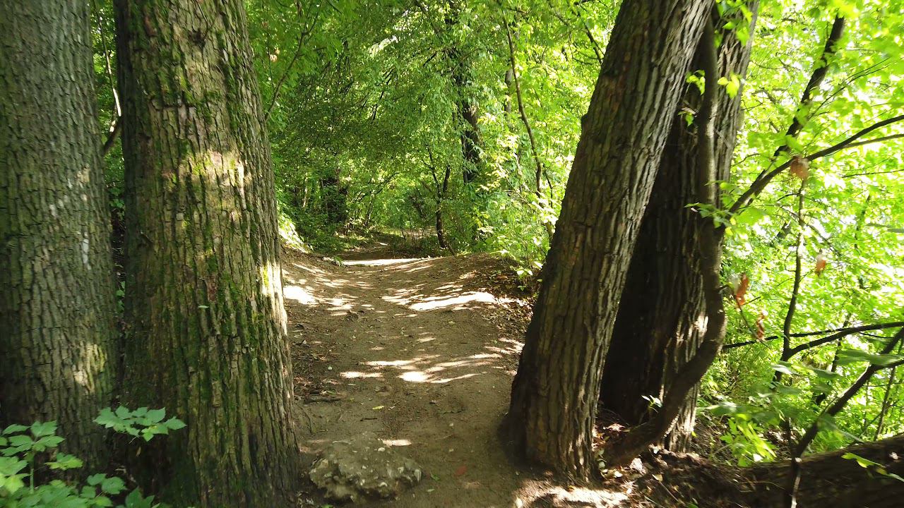 Filevskiy Park Valse