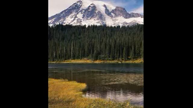 листья грецкого ореха можно смотреть онлайн