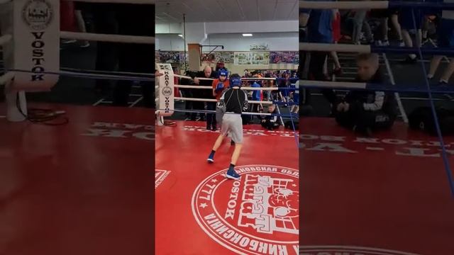 здравый движ. боксёрский марафон смотреть онлайн