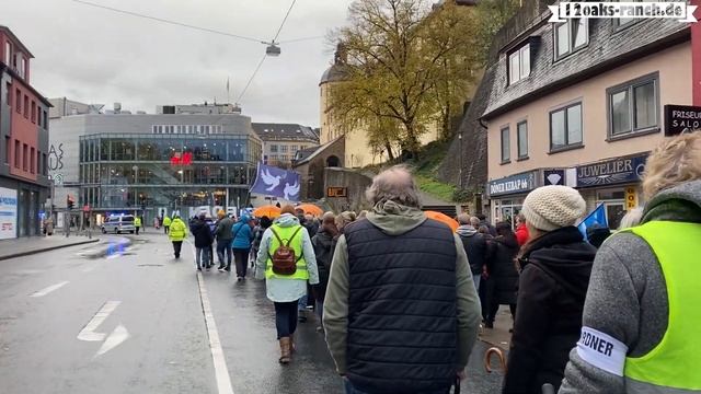 In einer Regenpause: 2. Großdemo in der Universitätsstadt Siegen mit Trommler | 4. November 2023 смотреть онлайн