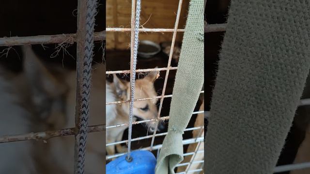 8 мая 2023 г. смотреть онлайн