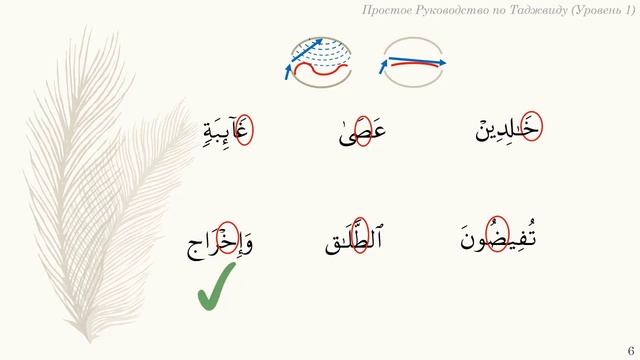 Урок 5: 'Твёрдые буквы' смотреть онлайн