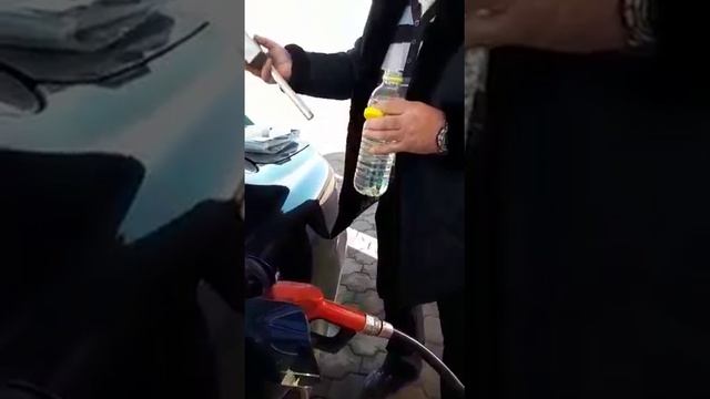VID 20171201 WA0002 смотреть онлайн