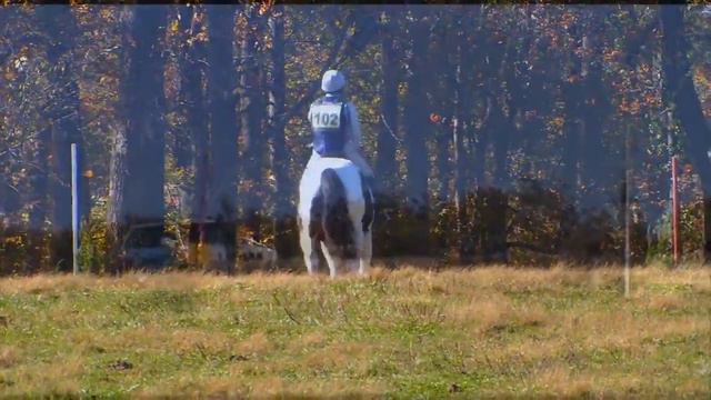 Eric Kramer "Selebration" Waredaca Horse Trials XC/BN 10/26/2013 смотреть онлайн