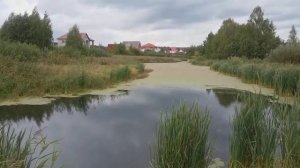 Посёлок Старопышминск Свердловская обл.