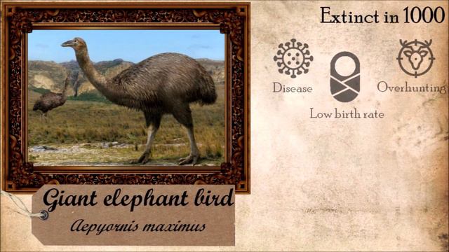 Historical Extinct Species #2 Middle Age