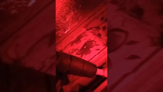 Зимовка пчёл в альпийцах на Южном Урале 06.01.2020.отличный результат все живы.мфу улья или удав.ру смотреть онлайн