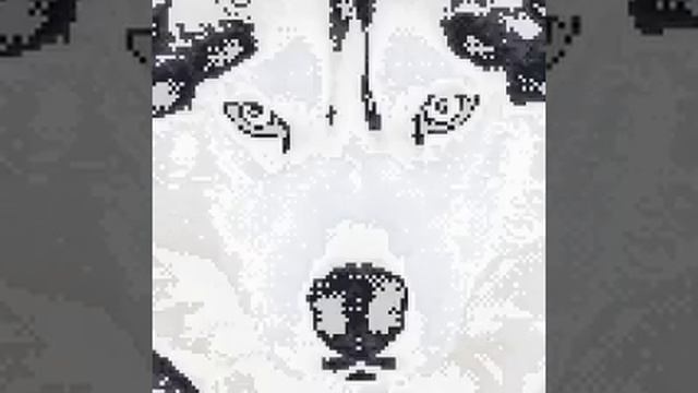 Морда хаски смотреть онлайн