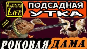 Подсадная утка. Как выбрать_ Duck decoy. How to choose_