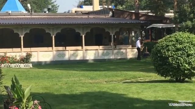 Пруды в Парке имени Ю. А. Гагарина г. Челябинск. смотреть онлайн