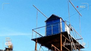 Николаевские голуби у Паши. Большие Салы Ростовская обл. 2023 год. тел 8(928)195-37-52