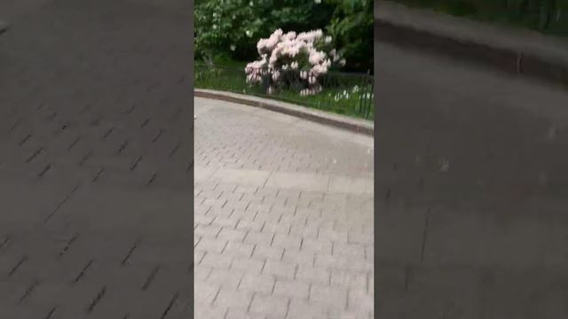 Москва, храм Матроны 3 июля 2022 г. смотреть онлайн