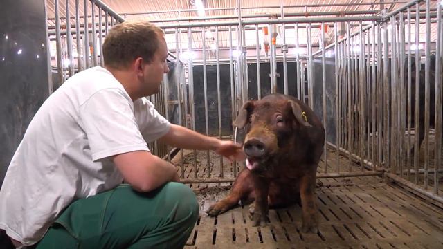 Группа компаний RBPI смотреть онлайн