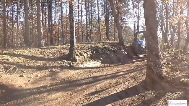 Италия. Тоскана. Сказочный лес. Декабрь 2021 года. смотреть онлайн