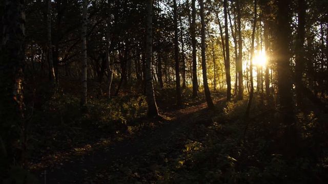 Galliyan (Ambient Mix) feat. Mike Grover and Meenakshi Kulshreshtha смотреть онлайн