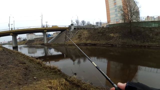 Спиннинг . Открытие . 2 января 2018. р. Оршица . смотреть онлайн