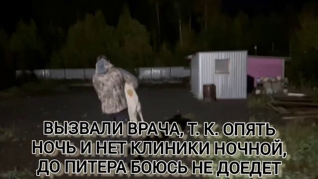 ВОЛКИ РАЗОРВАЛИ ЕМУ ГОРЛО , 2 ДНЯ НЕ МОГЛИ НАЙТИ МАЛЬЧИШКУ , ОКРОВАВЛЕННЫЙ , ОДИН БЕЗ СИЛ .. смотреть онлайн