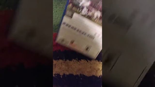 Ps4 Madden NFL 19 unboxing смотреть онлайн