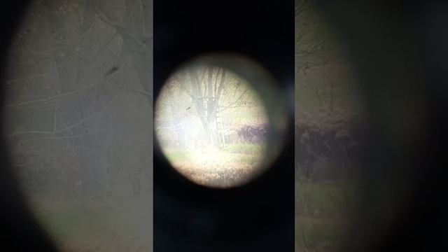 ZRT 457M  30/60x70 Test 750m At 60x