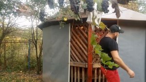 Оригинальная самодельная беседка из поддонов