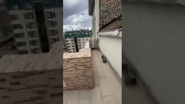 Квартира в элитном комплексе "Зелёный Мыс" Одесса смотреть онлайн