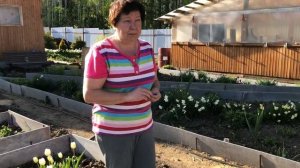 Избавляемся от долгоносика