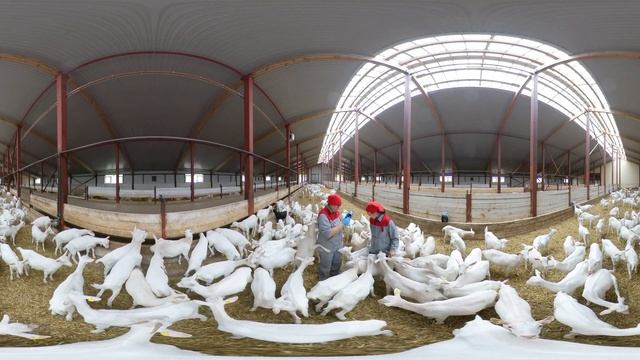 Зоотехник смотреть онлайн