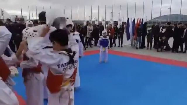Показательные выступления тхэквондистов смотреть онлайн