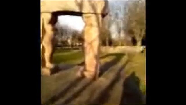 Скульптура в виде арки смотреть онлайн