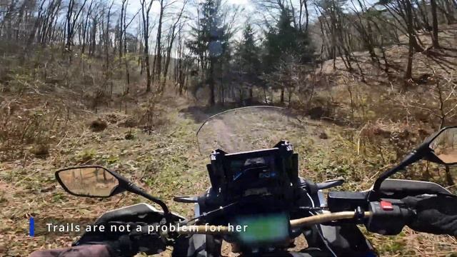 Africa Twin does Off-Road, Gravel and Trails (Raw sound only) смотреть онлайн