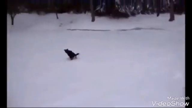 Приколы зимой смотреть онлайн