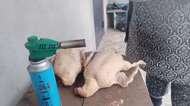 Выжить любой ценой - 